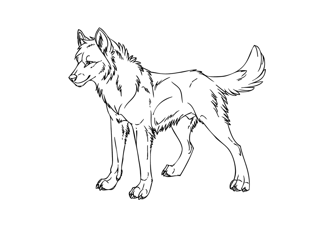 730 Anime Wolf Boy Coloring Pages Best